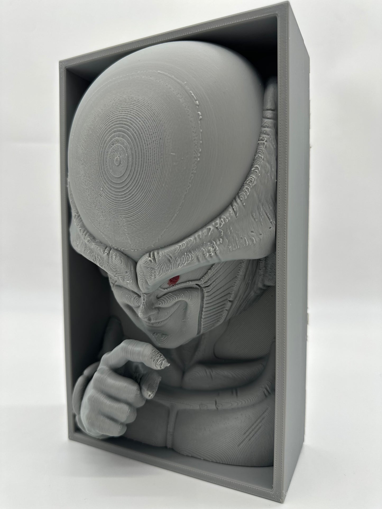 Cale Livre Dragon Ball Z