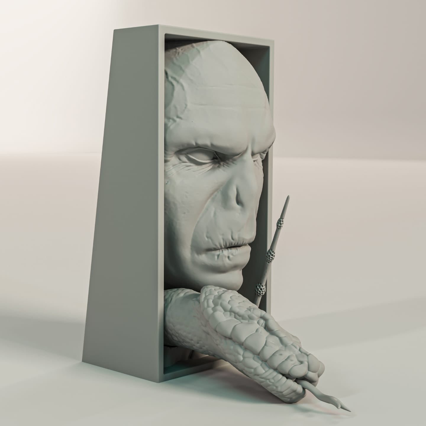 Cale Livre Harry Potter Voldemort