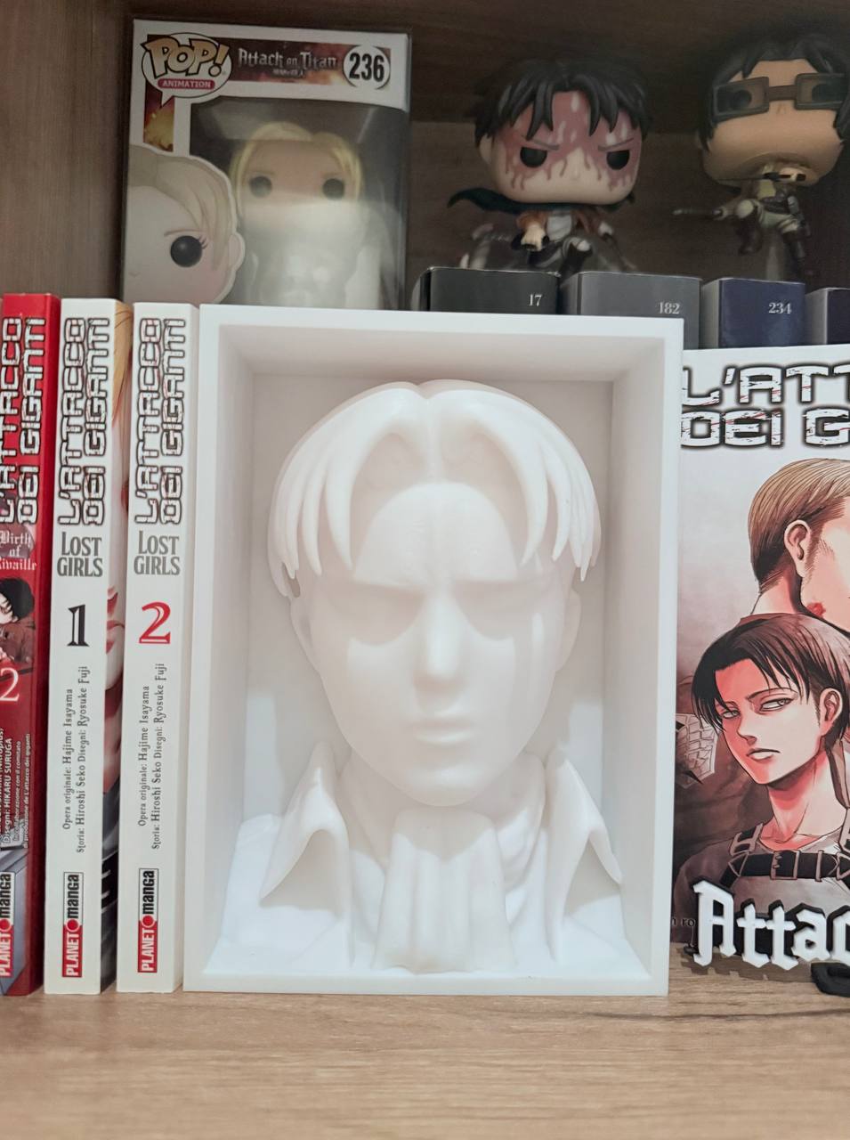 Cale Livre l'Attauqe Des Titans Livaï