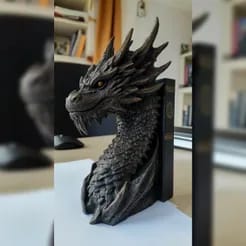 Cale Livre Dragon Foutrh Wing