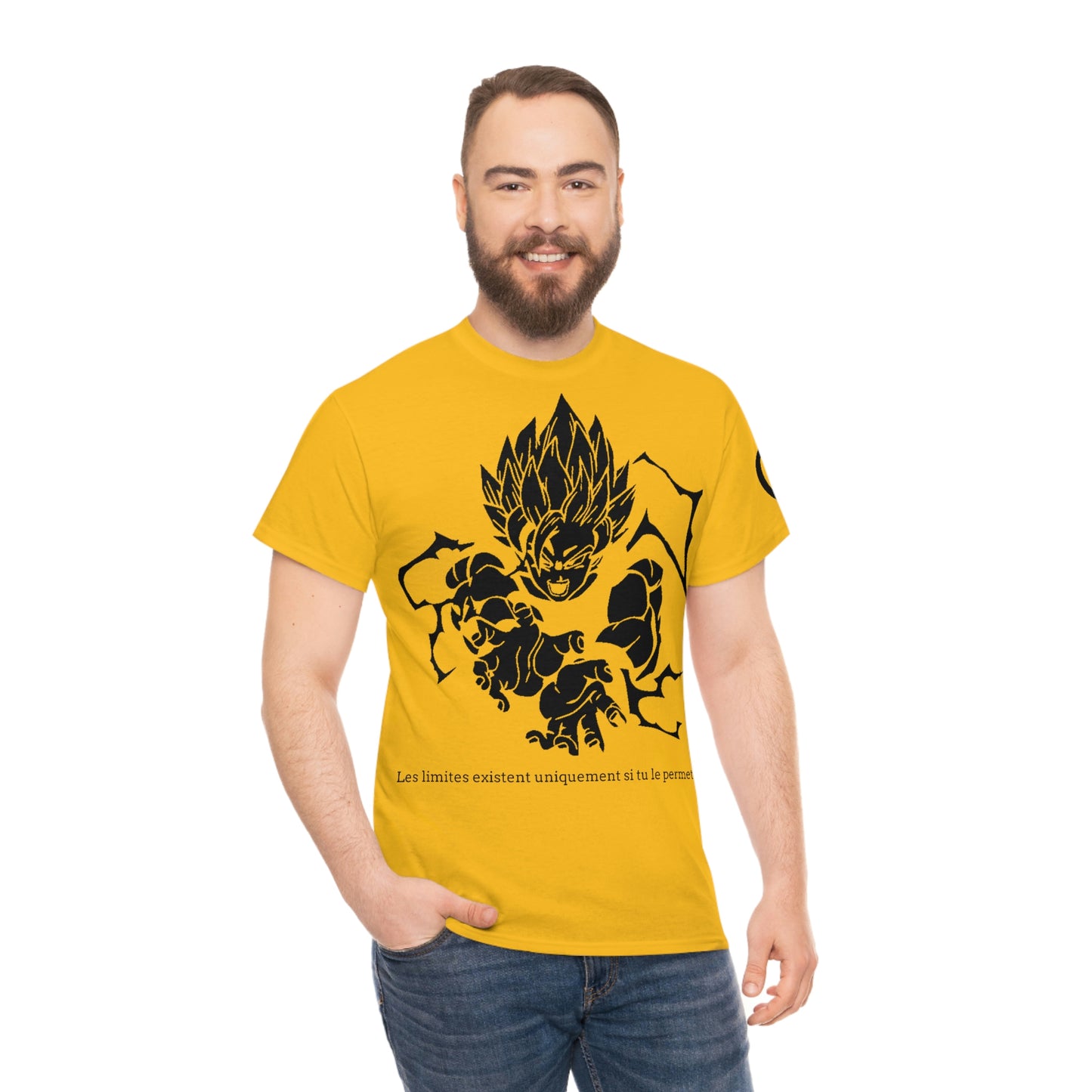 Dragon BallZ Rivalité