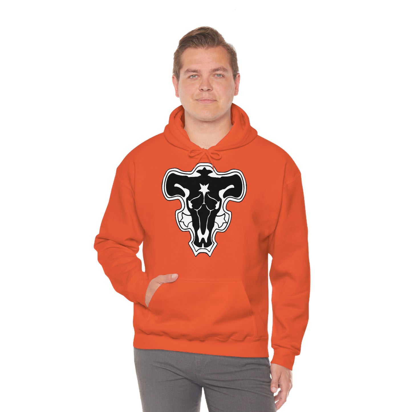COMPAGNIE DU TAUREAU NOIR