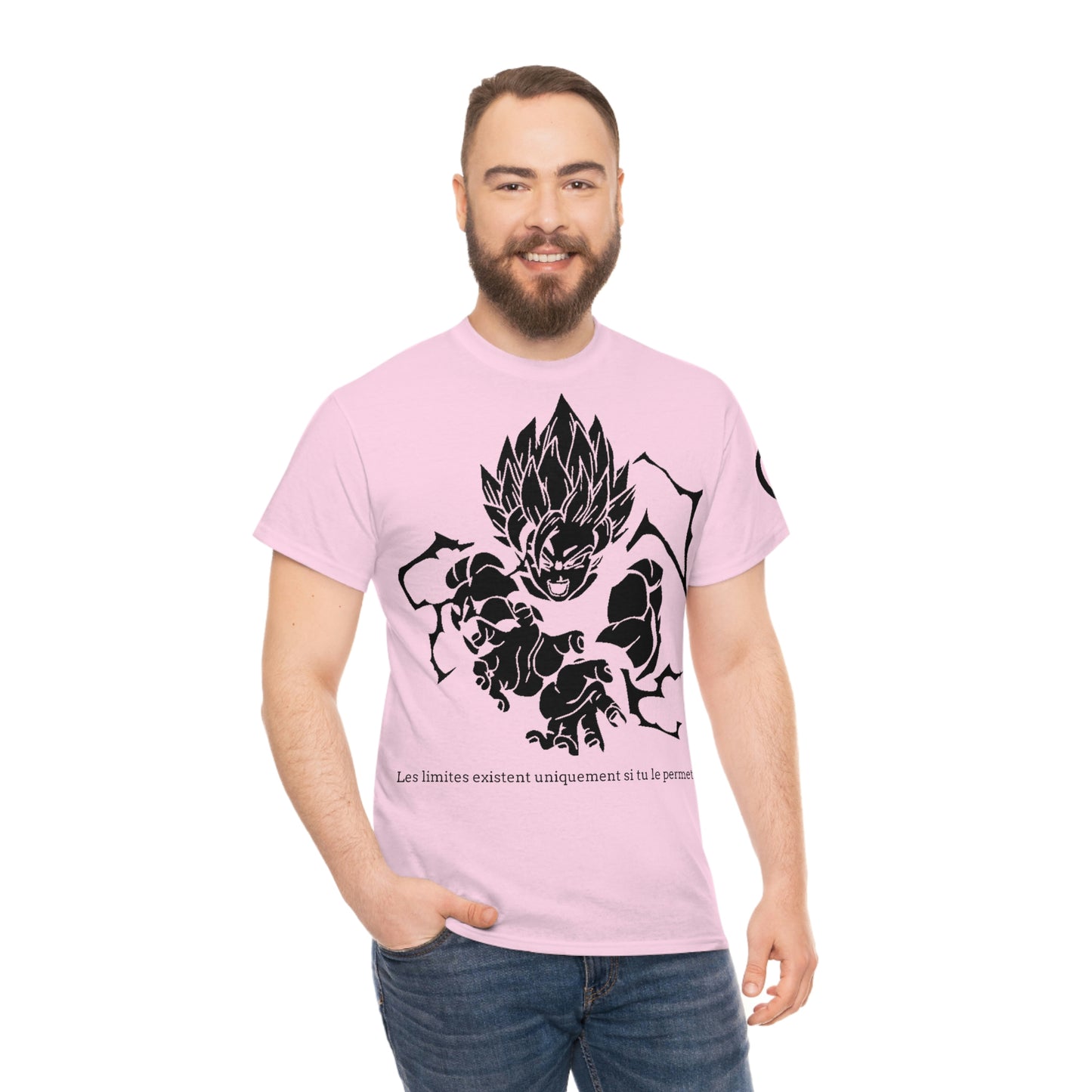 Dragon BallZ Rivalité