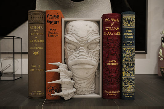 Cale Livre Monstre Du Lagon Noir