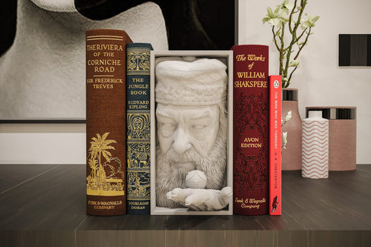 Cale Livre Harry Potter Dumbledore