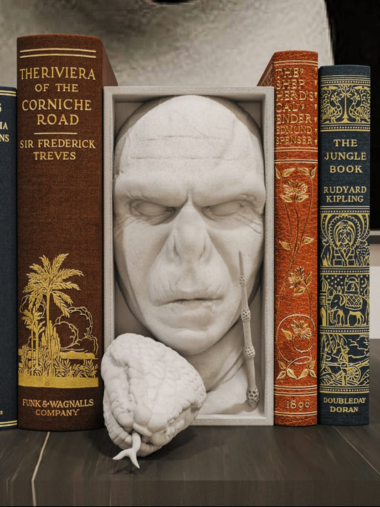 Cale Livre Harry Potter Voldemort