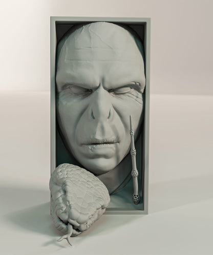 Cale Livre Harry Potter Voldemort