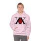 HUNTER X HUNTER sweatshirt