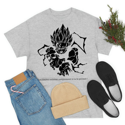 Dragon BallZ Rivalité