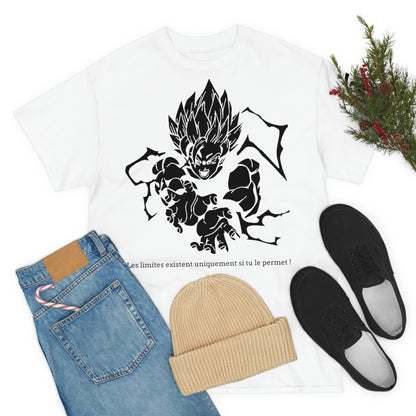 Dragon BallZ Rivalité